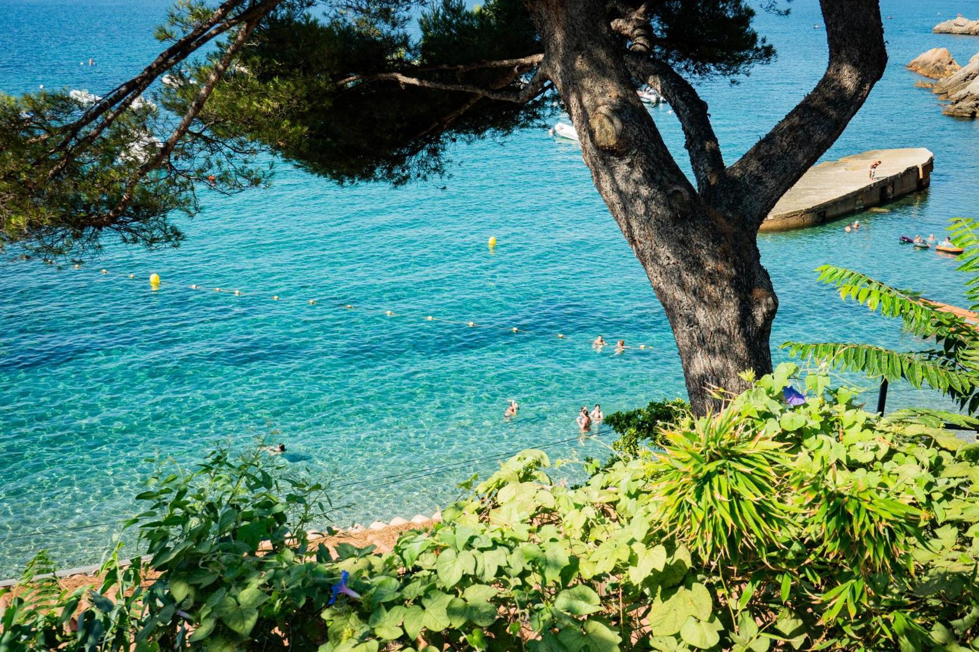 Cabanon Moderne, Les Pieds Dans L'eau, 2 Holiday home Le Pradet